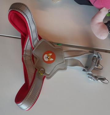 Hondentuig: met hondje 48 cm (A57) beschikbaar voor biedingen