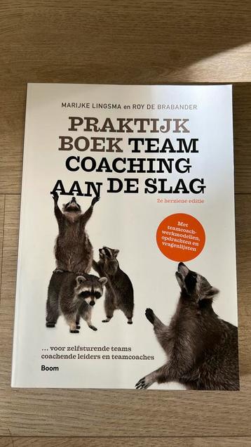 Marijke Lingsma - Praktijkboek Teamcoaching, aan de slag beschikbaar voor biedingen