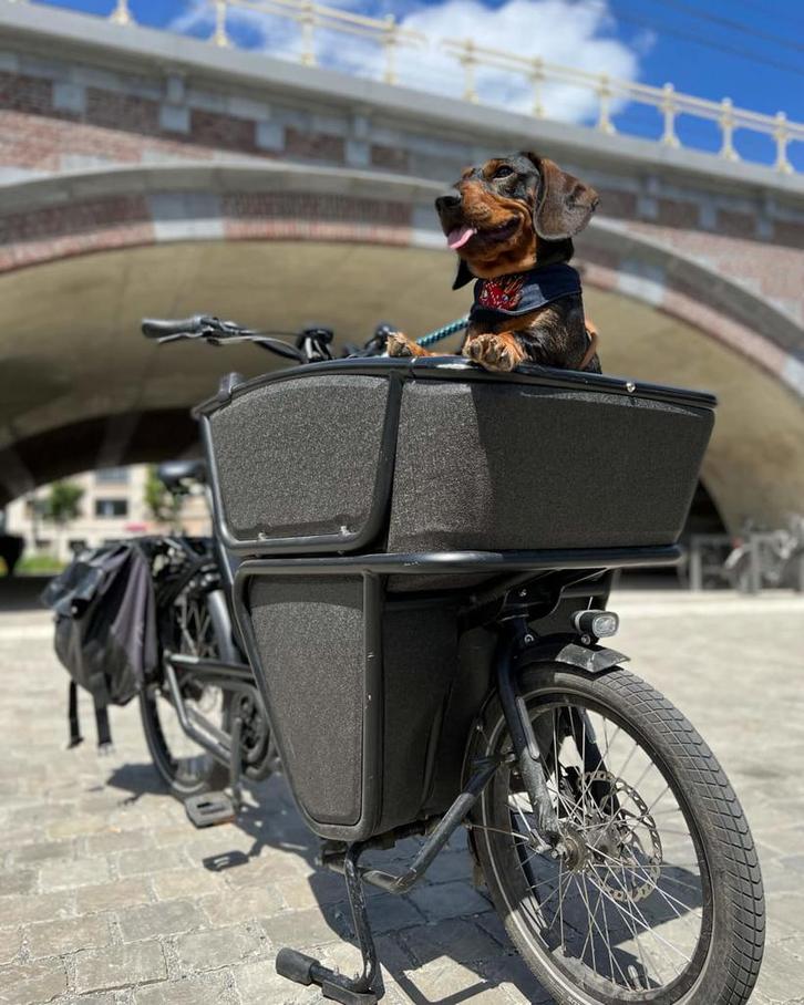 Urban Arrow Shorty active plus Tektro- Goed onderhouden, Fietsen en Brommers, Fietsen | Bakfietsen, Gebruikt, Overige merken, 2 kinderen