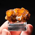 fluoriet uit bergmännisch glück #2, Ophalen of Verzenden, Mineraal