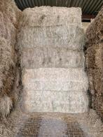 Hooi grote balen, Dieren en Toebehoren, Dierenvoeding, Ophalen of Verzenden, Vee