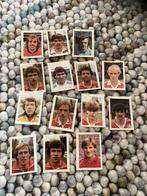 Fc utrecht panini Vanderhout 1981-1982, Verzamelen, Sportartikelen en Voetbal, Ophalen of Verzenden, Gebruikt, F.C. Utrecht, Poster, Plaatje of Sticker
