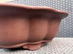 Bonsai schaal Lotus bruin ongeglazuurd gemerkt 39,7x35,3x12, Tuin en Terras, 25 tot 40 cm, Ophalen of Verzenden, Zo goed als nieuw