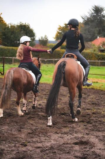 PONYS: zadelmak maken/training/ verkoop beschikbaar voor biedingen