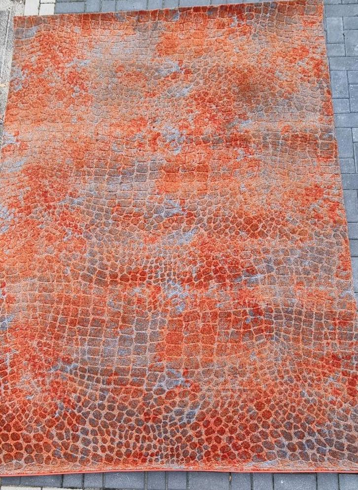 Groot Vloerkleed 2x3 meter - Nieuw of Zo Goed Als Nieuw, Huis en Inrichting, Stoffering | Tapijten en Kleden, Nieuw, 200 cm of meer