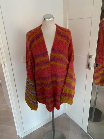 Gebreid Vest met Strepen one size beschikbaar voor biedingen