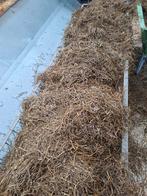 T.k. midi Ronde balen kuil vol energie, Ophalen of Verzenden, Vee