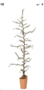 Intratuin Kunstkerstboom Besneeuwd - 170cm, Ophalen, Zo goed als nieuw