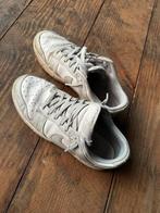 Nike dunk Low grey 42 goedgedragen, Kleding | Heren, Schoenen, Overige kleuren, Nike, Ophalen of Verzenden, Sneakers of Gympen