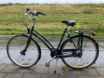 gazelle avignon incl nagekeken en beurt gehad beschikbaar voor biedingen
