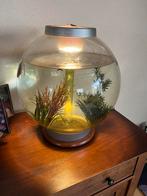 Biorb met pomp, Ophalen, Gebruikt, Overige typen