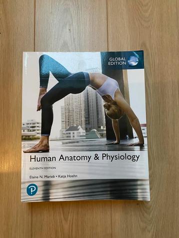 Human Anatomy & Physiology - Marieb, Hoehn beschikbaar voor biedingen