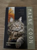 Maine Coon, Ophalen of Verzenden, Zo goed als nieuw, Katten