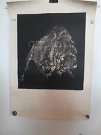 Gesigneerd Litho van een Bizon van Alting ?, Ophalen of Verzenden