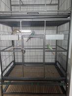 Volwassen pop of mannetjes parkiet, Dieren en Toebehoren, Ophalen of Verzenden, Zo goed als nieuw, Hout, Vogelkooi