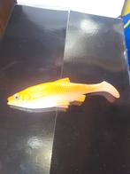 Savage Gear Roach Paddle Tail 12.5cm - 5 stuks €10, Ophalen of Verzenden, Nieuw, Overige typen
