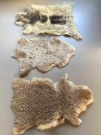 Schapenvachten en geitenvacht, Ophalen of Verzenden, Gebruikt