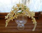 Antieke franse wassen bloem., Ophalen of Verzenden