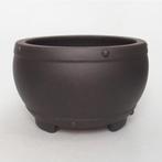 bonsaischaal 19x19x11cm, nieuw en ongebruikt, Ophalen of Verzenden, Volle zon, Overige soorten, Minder dan 100 cm