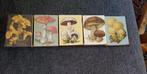 5 Luciferdoosjes met diverse paddenstoelen, Ophalen of Verzenden, Zo goed als nieuw, Luciferdoosjes of -merken