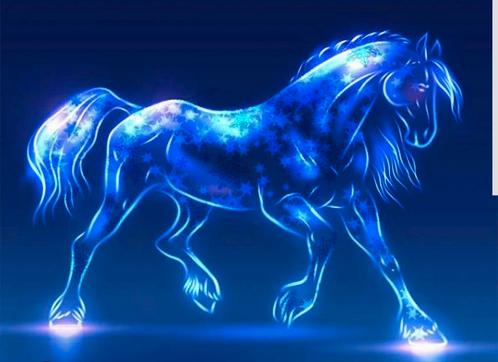 Bijrijder/verzorger aangeboden, Dieren en Toebehoren, Paarden en Pony's | Overige Paardenspullen, Recreatie, Ophalen