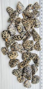 Dalmatische Jaspis platte trommelstenen, Ophalen of Verzenden, Zo goed als nieuw