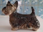 Hondenbeeld Schotse terrier, Ophalen of Verzenden, Zo goed als nieuw, Hond of Kat, Beeldje of Figuurtje