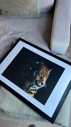 Yellowkorner panters foto, Ophalen, Zo goed als nieuw, Schilderij, Minder dan 50 cm