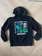 Minecraft Trui Maat 140 - Nette Staat, Ophalen of Verzenden, Zo goed als nieuw, Jongen of Meisje, Trui of Vest