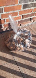 Walnoten 2.2 kg gedroogd 2024, Ophalen