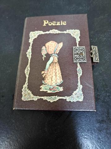 Poesie album jaren '70-'90 beschikbaar voor biedingen