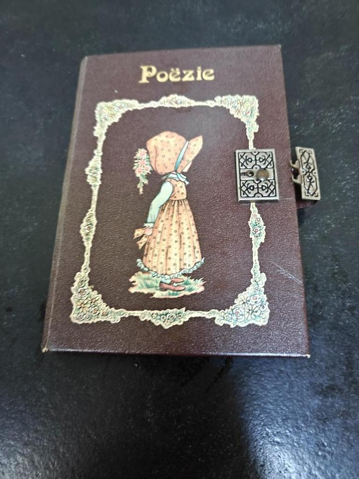 Poesie album jaren '70-'90, Verzamelen, Poesieplaatjes, Ophalen of Verzenden