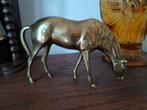 Messing beeld van een grazend paard, Antiek en Kunst, Ophalen of Verzenden