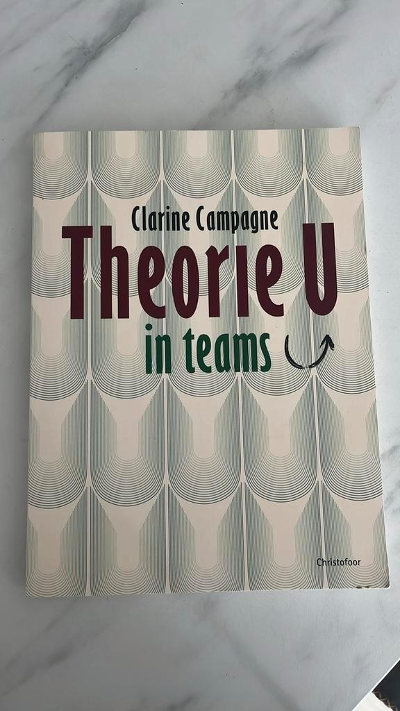 Clarine Campagne - Theorie U in teams, Boeken, Wetenschap, Zo goed als nieuw, Sociale wetenschap, Ophalen of Verzenden