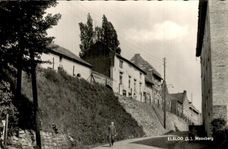 Elsloo - Maasberg, Verzamelen, Ansichtkaarten | Nederland, Gelopen, Limburg, 1940 tot 1960, Ophalen of Verzenden