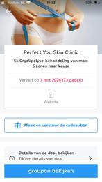 Cryolipolyse Vet bevriezen afvallen vetverwijdering, Eén persoon, Cadeaubon