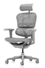 NEW ERGOHUMAN Ergonomische Bureaustoel Ultra HAM WIT Mesh !, Huis en Inrichting, Bureaustoelen, Nieuw, Ophalen of Verzenden, Grijs