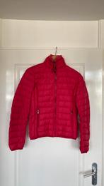 Fuchsia Parajumpers jas maat 176, Kinderen en Baby's, Parajumpers, Ophalen of Verzenden, Jas, Zo goed als nieuw