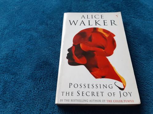 Alice Walker - Possessing the secret of joy - English, Boeken, Romans, Gelezen, Ophalen of Verzenden