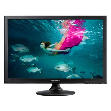 Hanns-G HL198DPB Black 19 inch 5ms LED Monitor beschikbaar voor biedingen