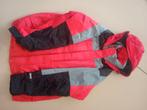 vintage the north face gore tex jas, Kleding | Heren, Wintersportkleding, Ophalen of Verzenden, Gedragen, Maat 56/58 (XL), Jack