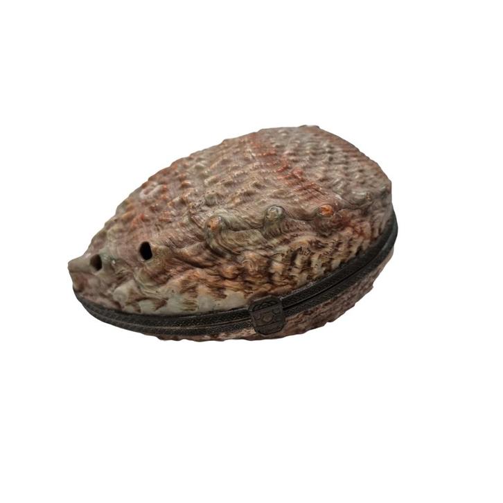 Oude abalone schelp doosje, begin 20e eeuw, Antiek en Kunst, Curiosa en Brocante, Ophalen of Verzenden