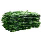 Balkonscherm met groene bladeren GRATIS BEZORGD!, Tuin en Terras, Kunststof, 1 tot 2 meter, Nieuw, Minder dan 3 meter