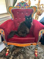 Troon fauteuil Versailles Toms Drag, Ophalen, Gebruikt, Hout