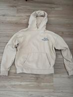 Trui / hoodie Daily Aesthetikz, Kleding | Heren, Truien en Vesten, Ophalen of Verzenden, Zo goed als nieuw