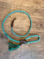 Turquoise hondenriem DWAM, Ophalen of Verzenden, Zo goed als nieuw, Hondenriem