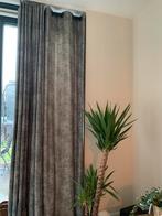 Mooie maatwerk grijze/zwarte ringgordijnen 258x406, Gebruikt, 200 cm of meer, Zwart, Ophalen of Verzenden
