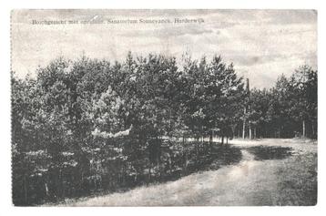 975822 Harderwijk G 1920 Sanatorium Sonnevanck 1920 Gelopen beschikbaar voor biedingen