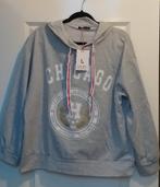 Dunne Hoodie Hoody 36 38 40 Grijs Chicago Nieuw ( Jool ), Verzenden, Nieuw, Maat 38/40 (M), Grijs