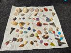verzameling edelstenen, mineralen, fossielen, Ophalen of Verzenden